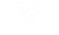 Águia Films logo