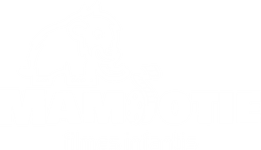 Logo de Mamootie Filmes
